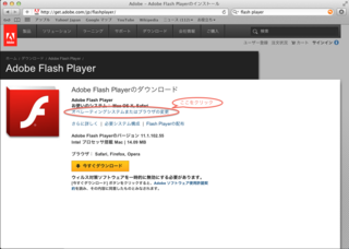 flash1.png