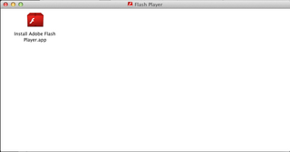 flash5.png
